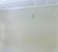 Prepravka cukrárska stredná - uzavretý úchyt II. akosť